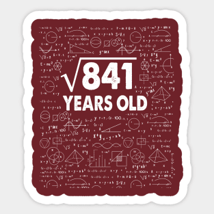 Square Root of 841 29th Birthday 29 Years Old Math Science Lover Gifts Nerdy Geeky Gift Idea Sticker